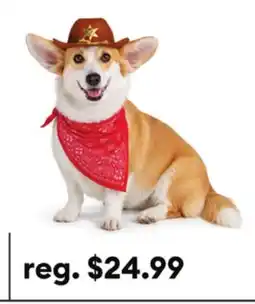 Petsmart Thrills & Chills Cowboy Hat & Bandana Dog & Cat Set offer