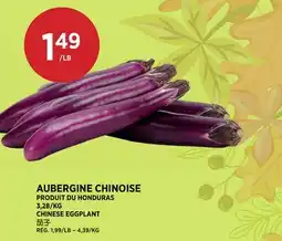 Kim Phat CHINESE EGGPLANT offer