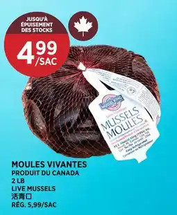 Kim Phat LIVE MUSSELS offer