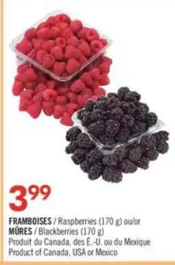 Pharmaprix Raspberries (170 g) or Blackberries (170 g) offer