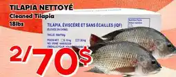 Marche Salaberry TILAPIA NETTOYÉ offer