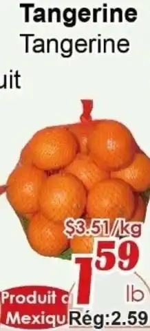Marche C&T Tangerine offer