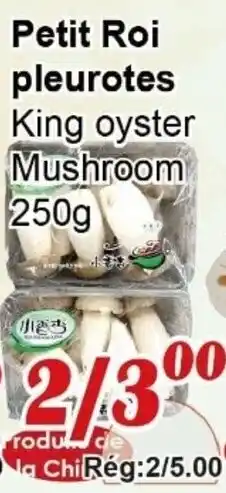Marche C&T Petit Roi pleurotes King oyster Mushroom offer