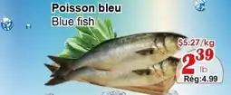 Marche C&T Blue fish offer