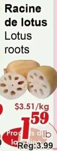 Marche C&T Lotus roots offer