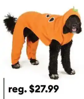 Dog costume