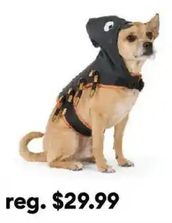 Petsmart Pirate Dog Costume offer