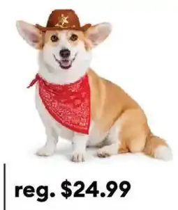 Petsmart Dog costume offer