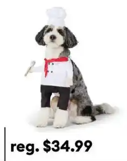 Petsmart Chef dog costume offer