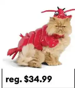 Petsmart Lobster Costume offer