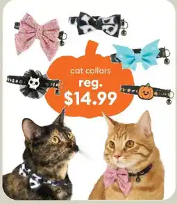 Petsmart cat collars offer