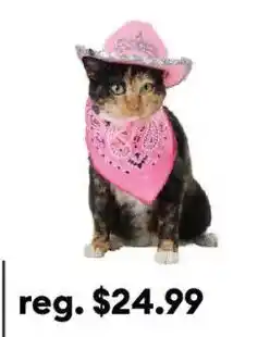 Petsmart pink cowboy hat and bandana for cat offer