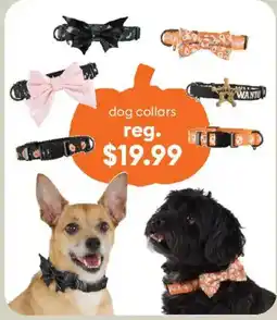 Petsmart dog collars offer