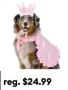 Petsmart dog princess costume offer