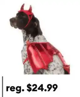 Petsmart dog costume offer