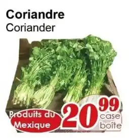 Marche C&T Coriander offer