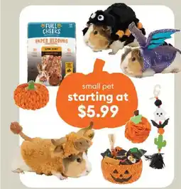 Petsmart small pet offer