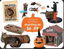 Petsmart cat toys & scratchers offer