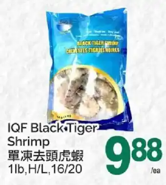 IQF Black Tiger Shrimp