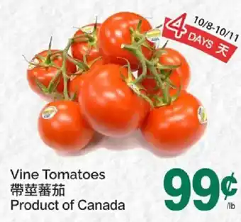 Vine Tomatoes