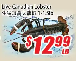 WinCo Food Mart Live Canadian Lobster offer