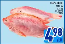 Marché Lian Tai TILAPIA ROUGE offer