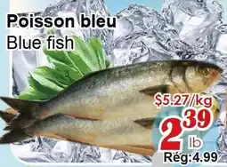 Marche C&T Blue fish offer