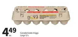Pharmasave Nova Canada Grade A Eggs offer