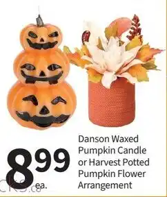 Pharmasave Danson Waxed Pumpkin Candle or Harvest Potted Pumpkin Flower Arrangement offer