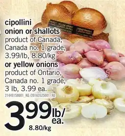 Loblaws cipollini onion or shallots or yellow onions offer