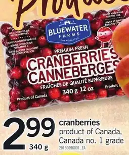 Loblaws bluewater farms cranberries offer