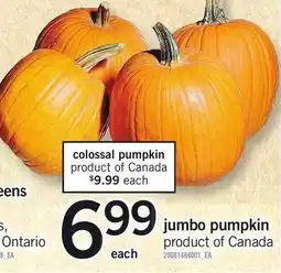Loblaws jumbo pumpkin offer