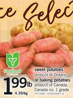 Loblaws Foodland sweet potatoes offer