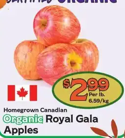 The Garden Basket Organic Royal Gala Apples offer