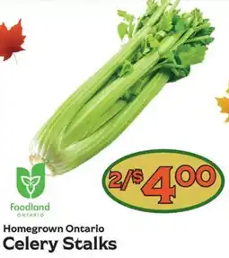 The Garden Basket Foodland Ontario Celery Stalks offer