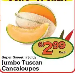 The Garden Basket Jumbo Tuscan Cantaloupes offer
