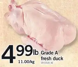 Loblaws fresh duck offer