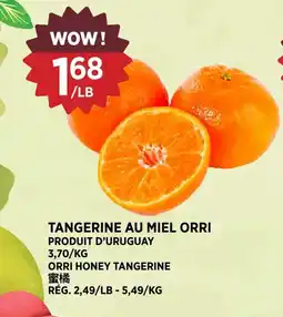 Kim Phat Orri honey tangerine offer