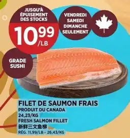 Kim Phat Fresh salmon fillet offer