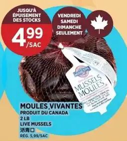 Kim Phat Mussels Moulles offer