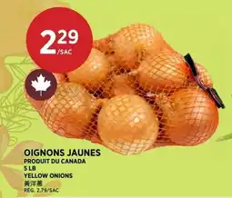 Kim Phat Yellow Onions offer