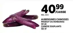 Kim Phat Chinese eggplants offer