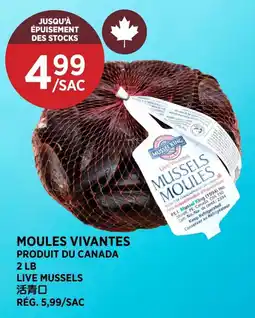 Kim Phat Mussel King mussels offer