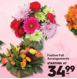 Calgary Co-op Festive Fall Arrangements offer
