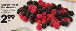 Calgary Co-op Raspberries or Blackberries offer