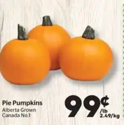 Calgary Co-op Pie Pumpkins offer
