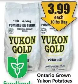 Starsky Foodland Ontario Grown Yukon Potatoes offer