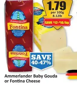Starsky Ammerlander Baby Gouda or Fontina Cheese offer