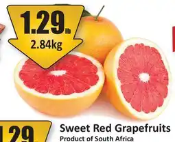 Starsky Sweet Red Grapefruits offer