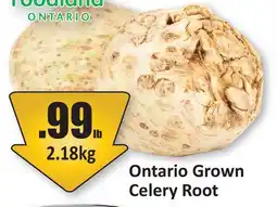 Starsky Foodland Ontario Grown Celery Root offer